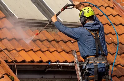 Démoussage et hydrofuge de toiture à Gère-Bélesten